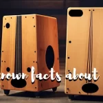 7 unknown facts about cajon