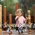 The Science Behind the Rain Stick Gappu TV