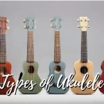 Types of Ukulele gappu tv