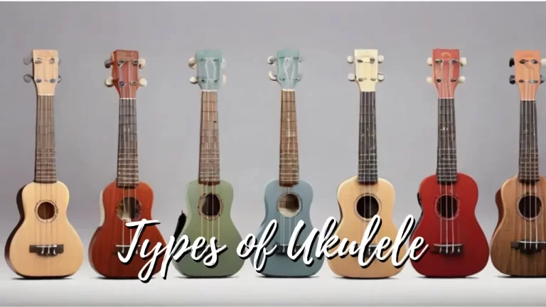 Types of Ukulele gappu tv